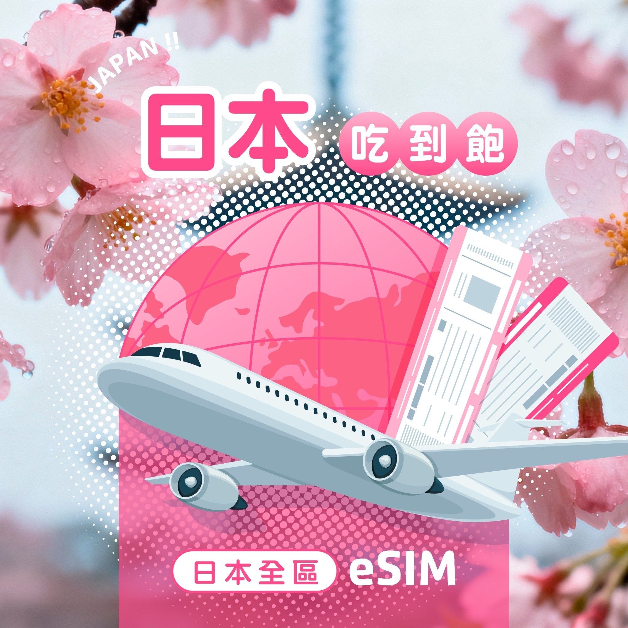 日本 eSIM 每日流量吃到飽 - AI CARD