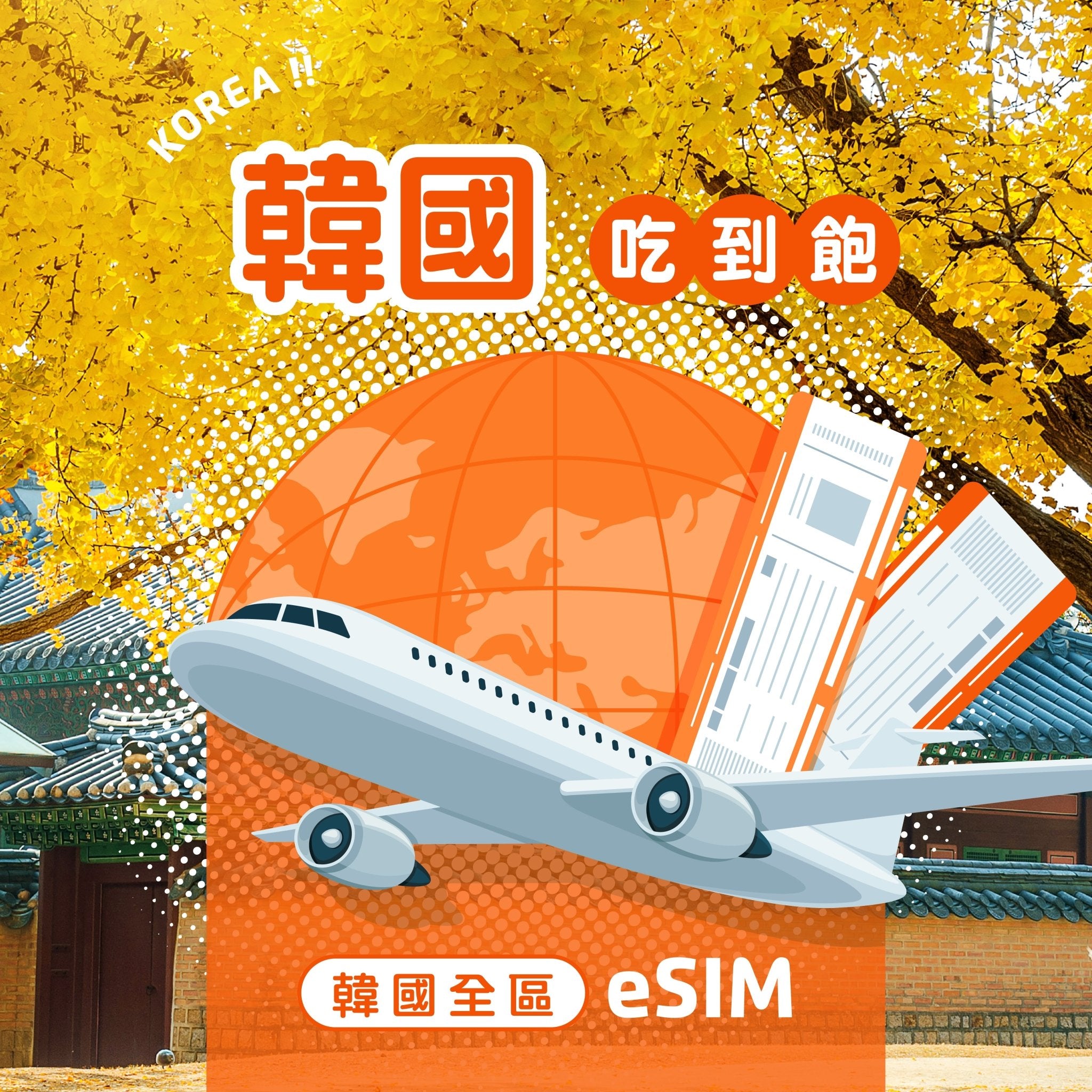 韓國 eSIM 吃到飽 - AI CARD